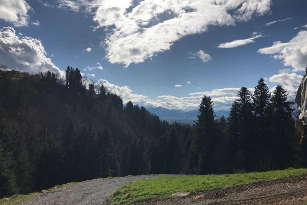 Wood * Dornbirn