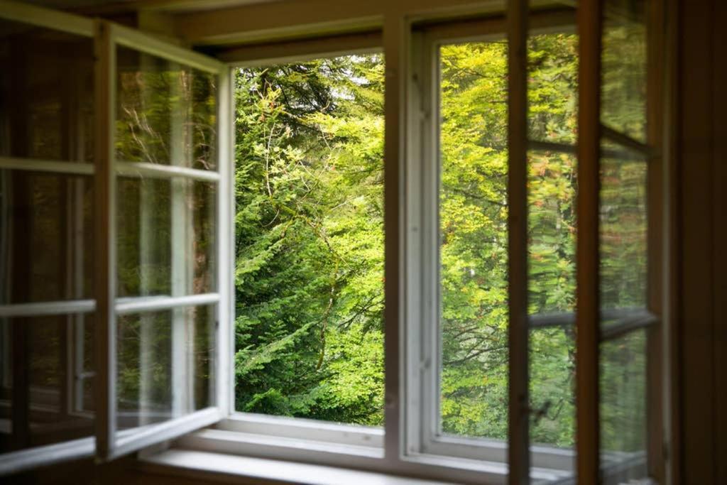 Wood * Dornbirn